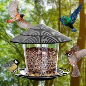 Cafe Bird feeder