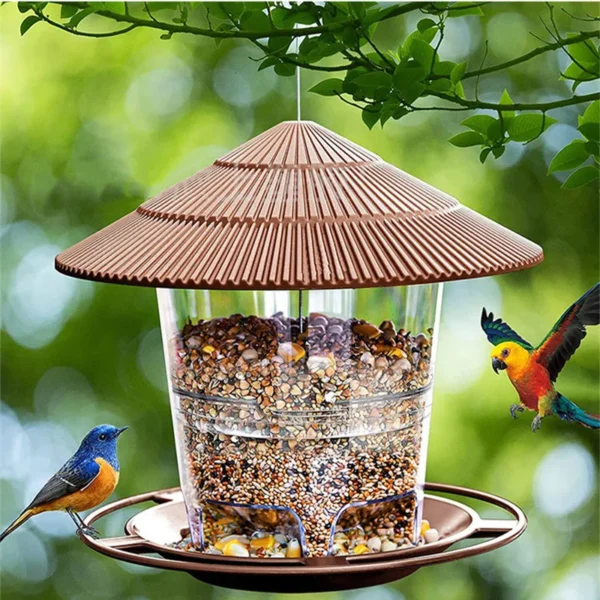 Cafe Bird feeder - Image 2