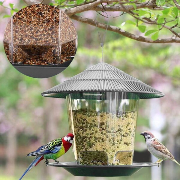 Cafe Bird feeder - Image 3