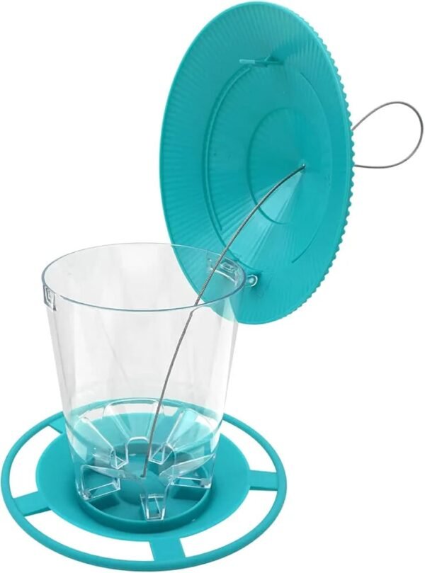Cafe Bird feeder - Image 8